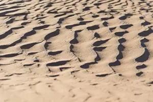 Ripple Prints: Wave pattern in the sand, Sossusvlei, Namib-Naukluft National Park, Namibia