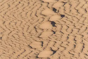 Ripple Prints: Wave pattern in the sand, Sossusvlei, Namib-Naukluft National Park, Namibia