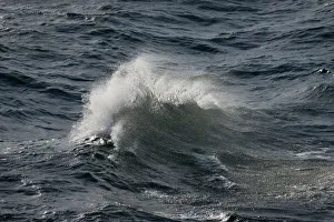 Images Dated 16th June 2013: Wave with spray, on the high seas, Baltic Sea, Germany