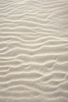 Wave structure in sand, Blavand -Blavand-, Varde Kommune, Jutland, Denmark