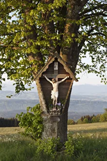Images Dated 2nd May 2011: Wayside crucifix, Hohenpeissenberg, Pfaffenwinkel, Upper Bavaria, Bavaria, Germany, Europe