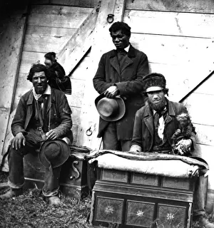 Wayside Scene