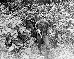 Weapon Carrying American Marines Camouflaged by Jungle