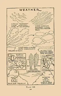 Winds Prints: Weather II