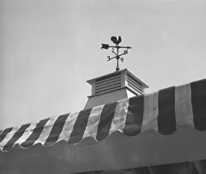 Awning Prints: Weather vane on roof tower, (B&W), low angle view