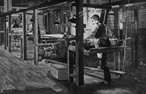 Images Dated 28th May 2008: Weaver At Warner s