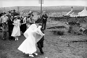 Wedding Celebration