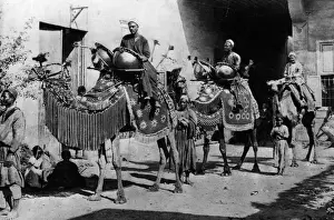 Landscape Animal Working Prints: Wedding Procession
