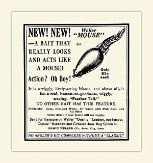 Lure Prints: Weller Mouse