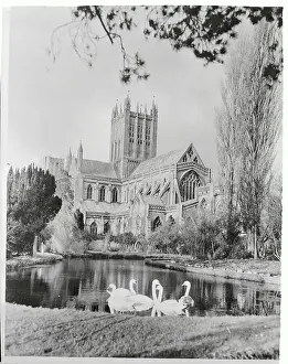 Wells Prints: The Wells Cathedral