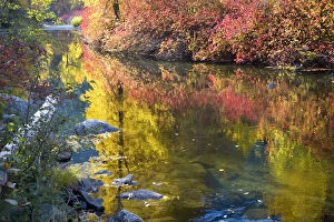Wenatchee River in autumn, Stevens Pass, Leavenworth, Washington State, USA