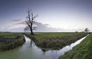 Images Dated 27th November 2011: Wesermarsch marsh, landscape near Bremerhaven, Germany, Lower Saxony, Europe
