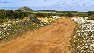 Images Dated 15th August 2018: West Coast National Park. Western Cape Province. South Africa