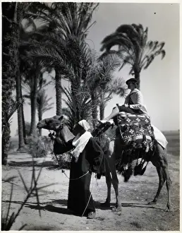 Oasis Prints: Western Woman Rides On Camel In Oasis