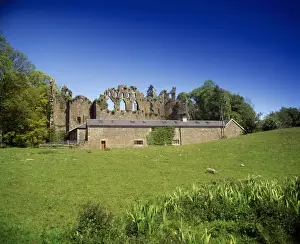 Co Westmeath - Mullingar, The Jealous Wall, At Belvedere House