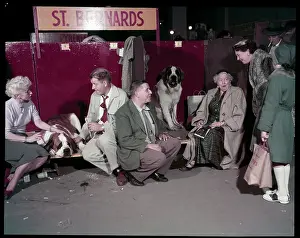 Lac0094 Prints: WESTMINSTER DOG SHOW 1957