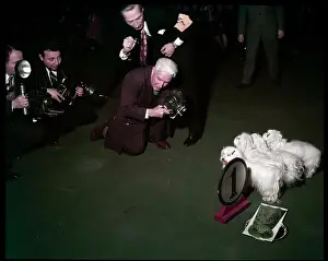 Lac0094 Prints: WESTMINSTER DOG SHOW 1957