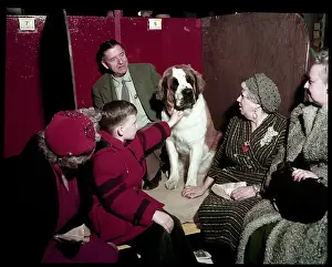 Lac0094 Prints: WESTMINSTER DOG SHOW 1957