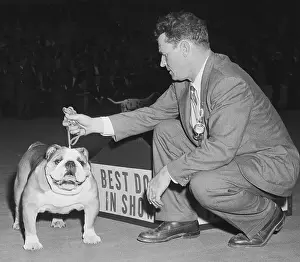 Westminster Winner and Harry Sangster