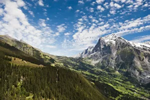 Wetterhorn, Grosse Scheidegg, First, Waldspitz, Grindelwald, Interlaken-Oberhasli, Canton of Bern, Switzerland