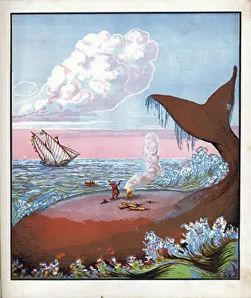 On Whale Back