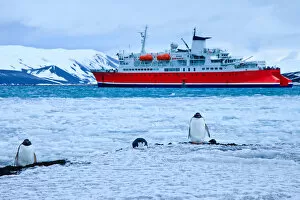 Images Dated 22nd November 2011: Whalers Bay of Deception Island
