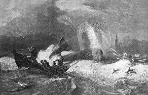 Endurance Prints: Whalers in the Ocean