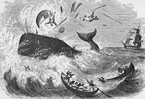 Whaling Prints: Whaling, The Flurry, Woodcut