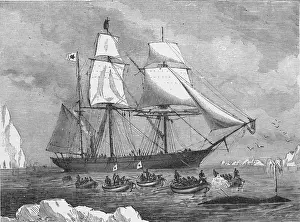 Whaling Prints: Whaling Ship