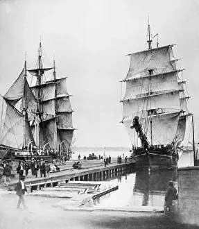 Whaling Prints: Whaling Ships Dry Sails in Dock