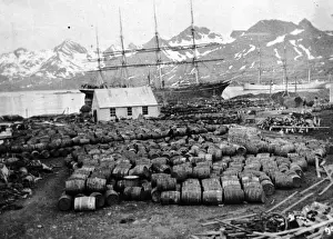 Whaling Prints: Whaling Station