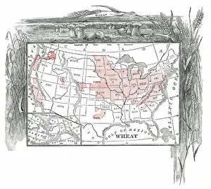 Wheat crop distribution engraving 1867