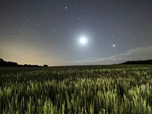 Images Dated 22nd May 2015: Wheat field illuminated by the moonlight