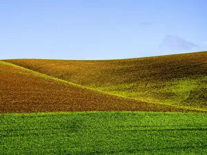 Images Dated 30th May 2013: Wheat fields of Palouse region in spring, Washington State, USA