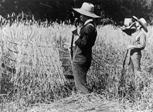 Freelance Photographers Guild (FPG) Gallery: Wheat Harvest
