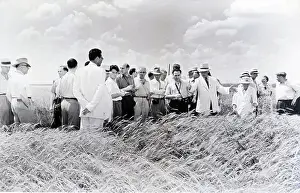 Delegation Prints: Wheat Harvest In Soviet Union