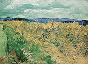 Van 1853 1890 Prints: Wheatfield With Cornflowers