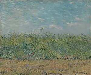 Summer Landscape Prints: Wheatfield With Partridge