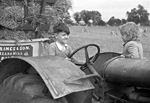 Tractor Prints: At The Wheel