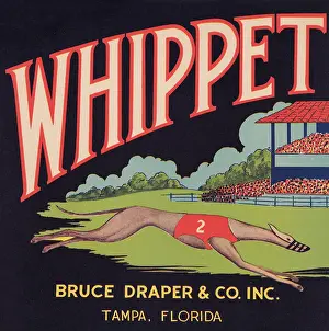 Florida Prints: Whippet Brand
