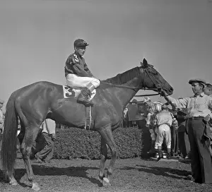 Whirlaway in Belmont Winner's Circle