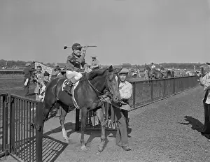Elmont Prints: Whirlaway Entering Belmont Winner's Circle