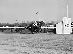 Racetrack Prints: Whirlaway Racing Out in Front