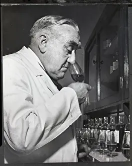 Smell Prints: Whiskey Tester Sniffs The Liquid