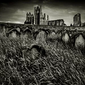Images Dated 6th September 2017: Whitby Abbey