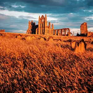 Images Dated 6th September 2017: Whitby Abbey