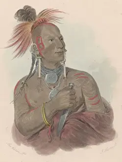 Timeline Native Prints: White Bear