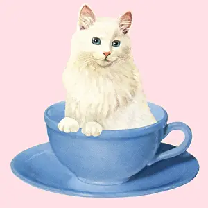 Kitty Prints: White Cat in a Coffee Cup