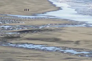 Sandy Beach Prints: White Cliffs Beach at low tide