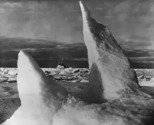 Pack Prints: The White Continent